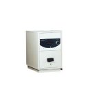 CHUBB Fire Resistant Cabinet RPF 9202 - 1 KL (2 DRAWER)